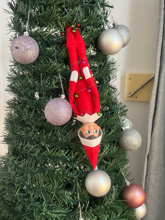 Elf String Lights