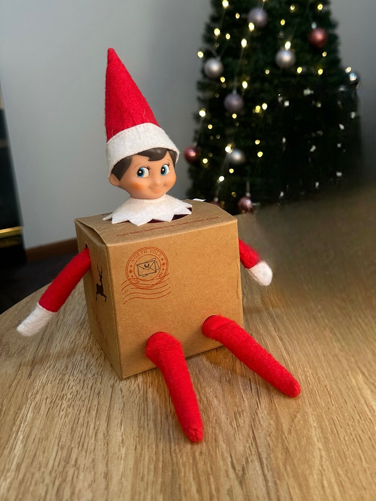 Elf Arrival Box For The Love Of Elf elf-arrival-box-for-the-love-of-elf